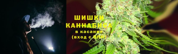 PSILOCYBIN Алексин