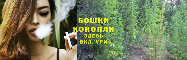 крисы Армянск