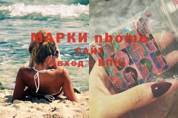 индика Алзамай