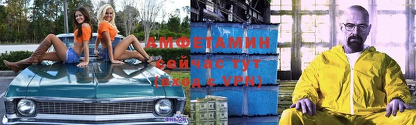 индика Алзамай