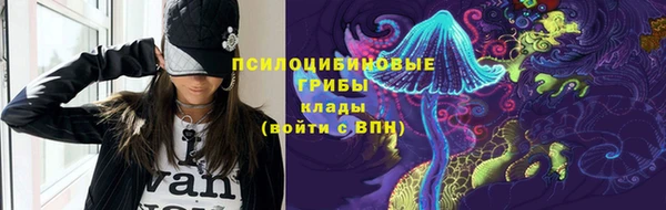 PSILOCYBIN Алексин