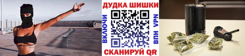 даркнет наркотические препараты  Куса  Бошки Шишки сатива  ссылка на мегу ссылки 